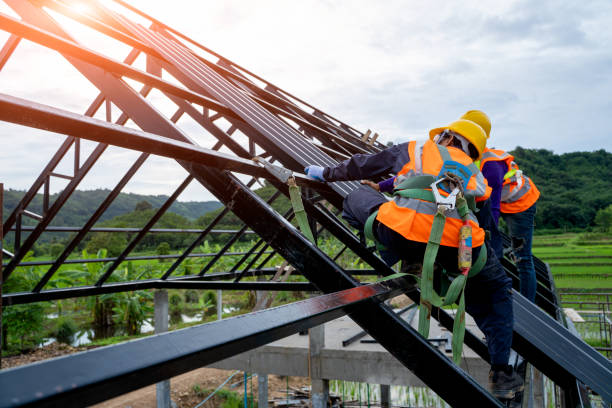 Best Local Roofing Companies  in Cadiz, OH