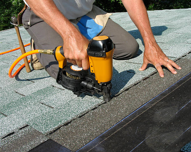 Best Roof Gutter Cleaning  in Cadiz, OH
